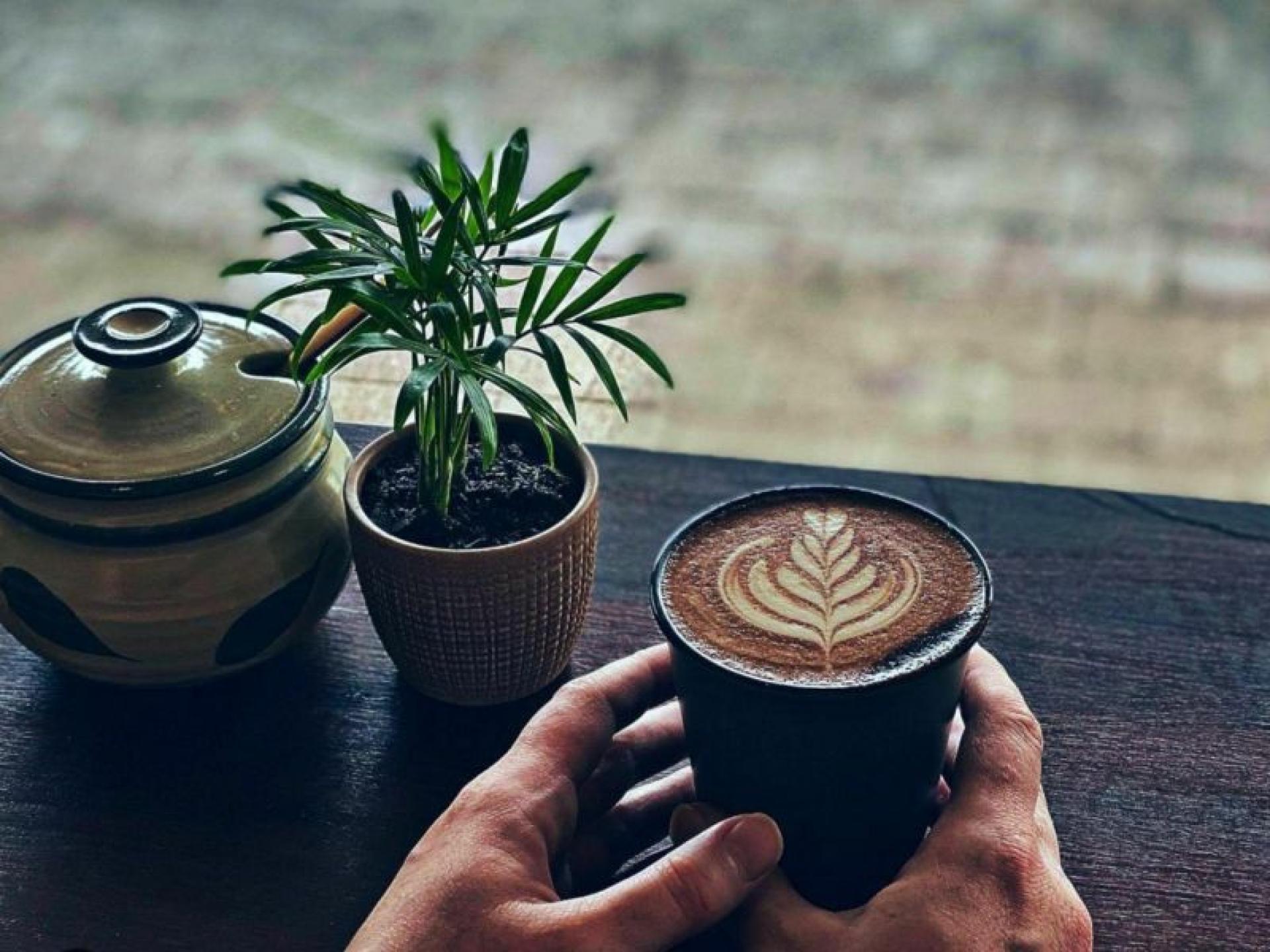 Trendy Licensed Cafe/restaurant In 666772 1