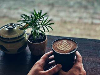 Trendy Licensed Cafe/Restaurant in the Heart of Beautiful Bellingen