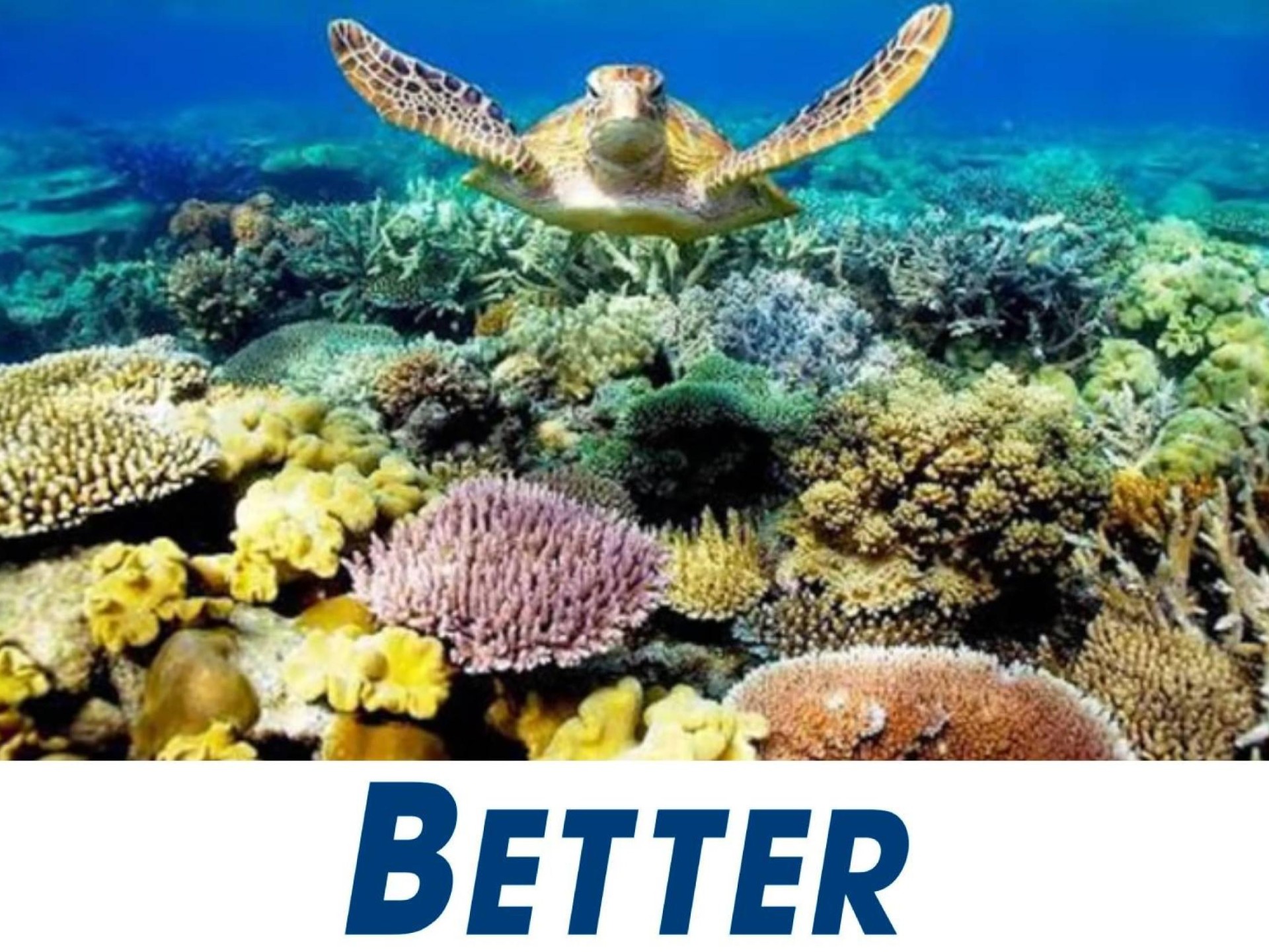 Fishing Tackle - A 667522 1