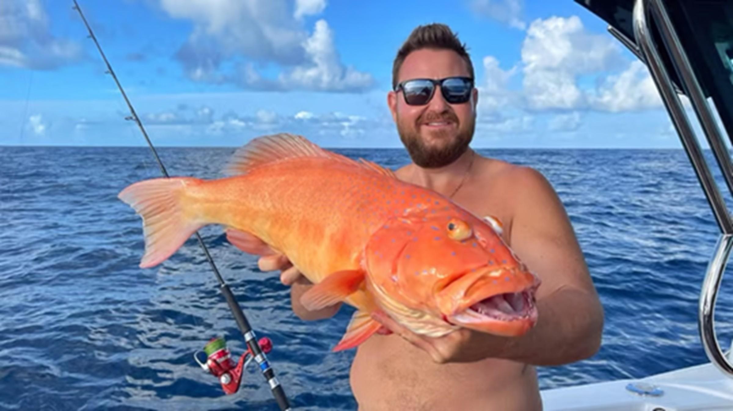 Fishing Tackle - A 667522 2