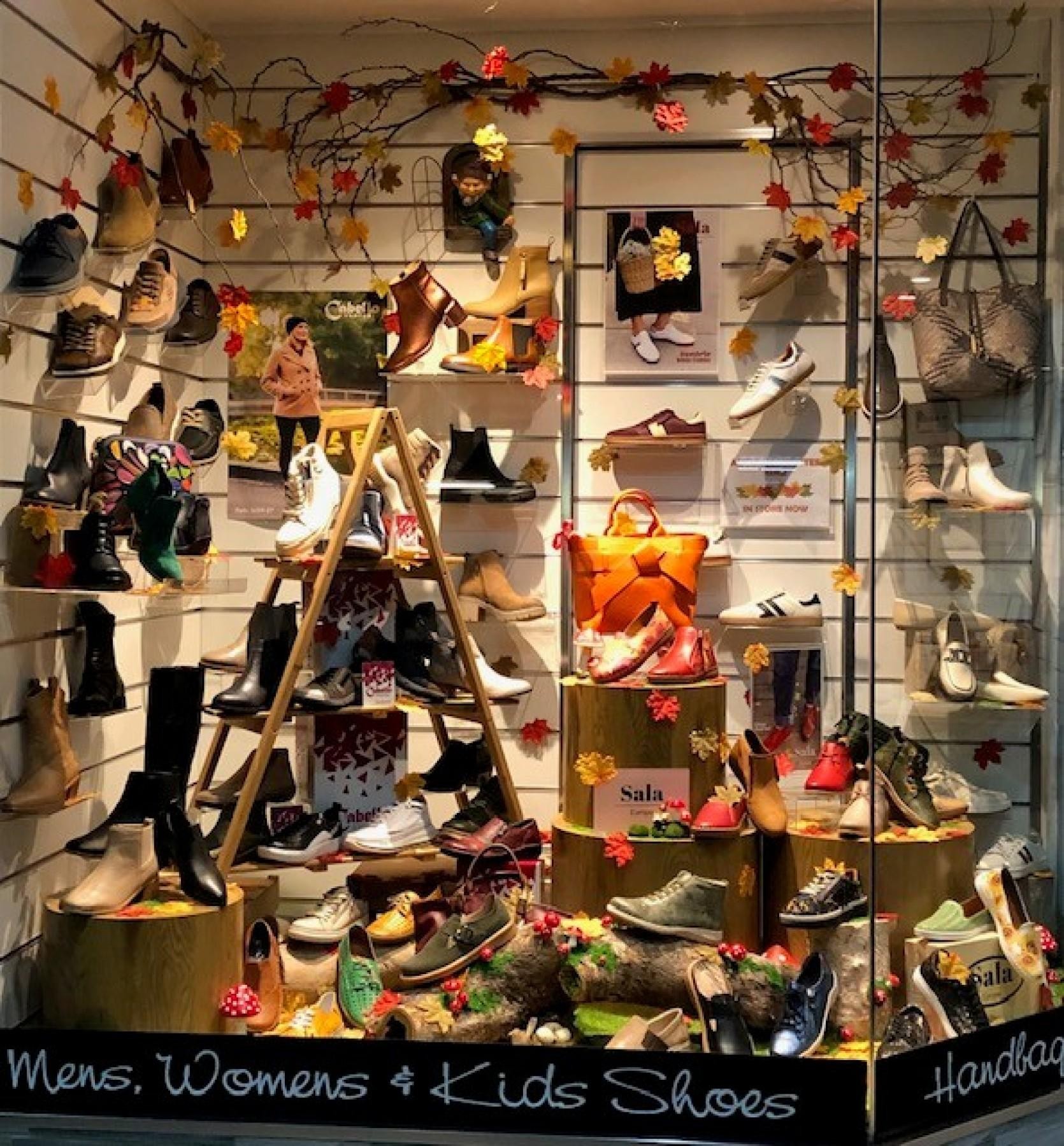 Retail Shoes Business In 667716 2