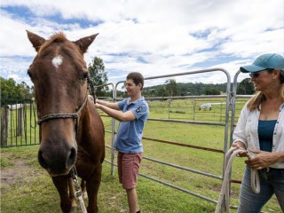 Australian family owned and operated services provider, holding NDIS registration and accreditation