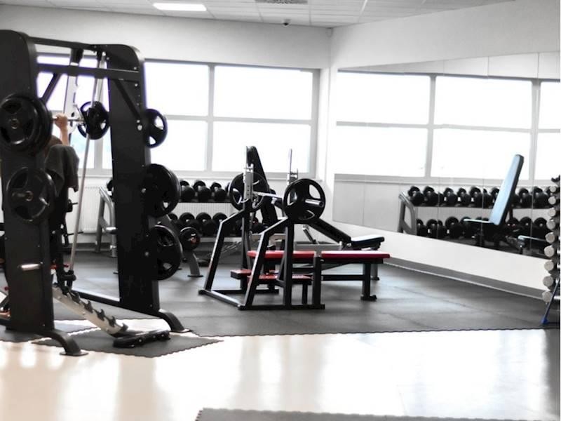 Reputable Training Studio With 667954 2