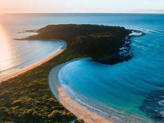 Quality Veterinary Practice - NSW South Coast Lifestyle Opportunity