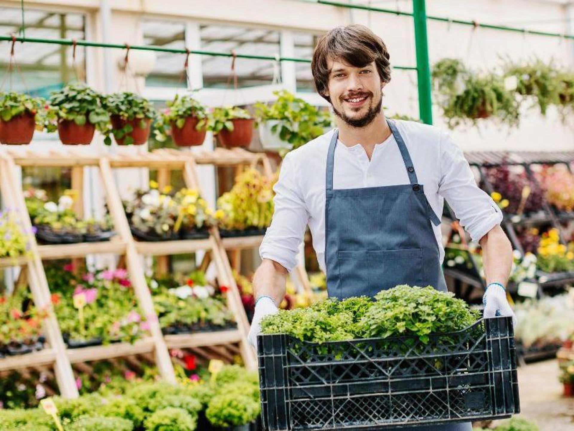 Price Cut. Profitable Funded 668094 2