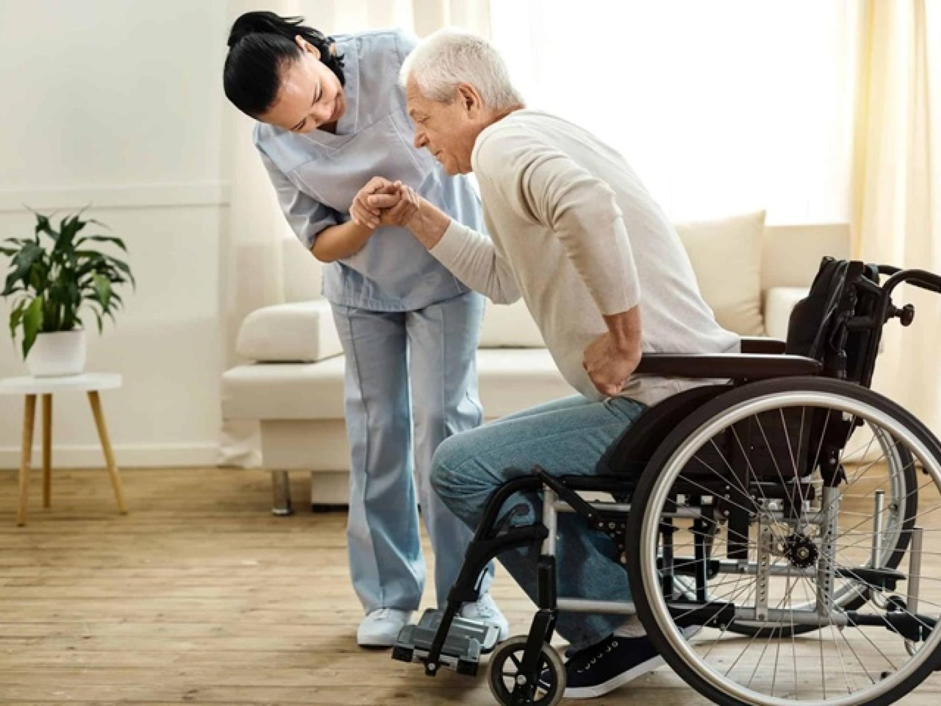Well Established Ndis/disability Registered 668152 2