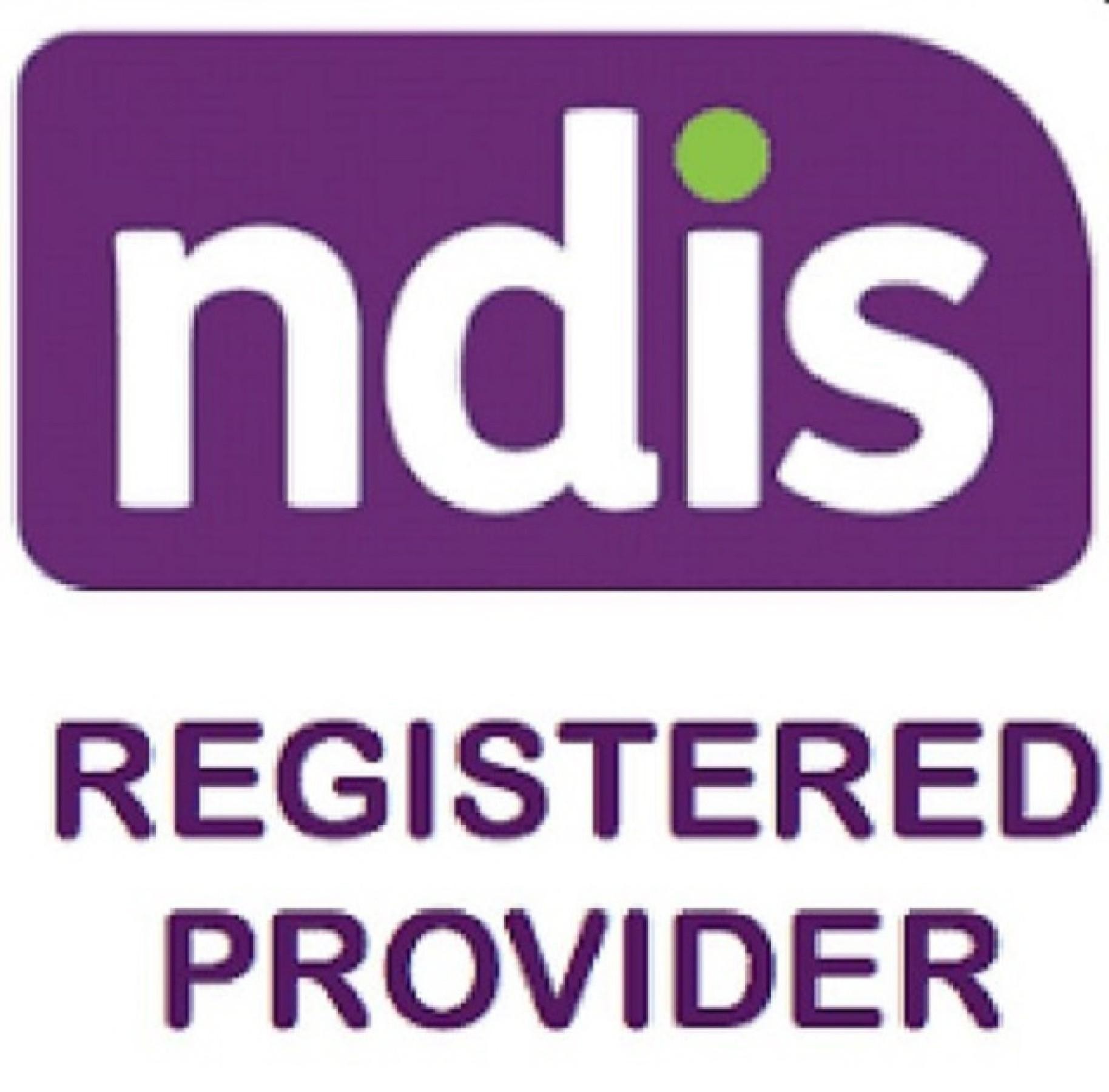 Ndis Registration 668276 2