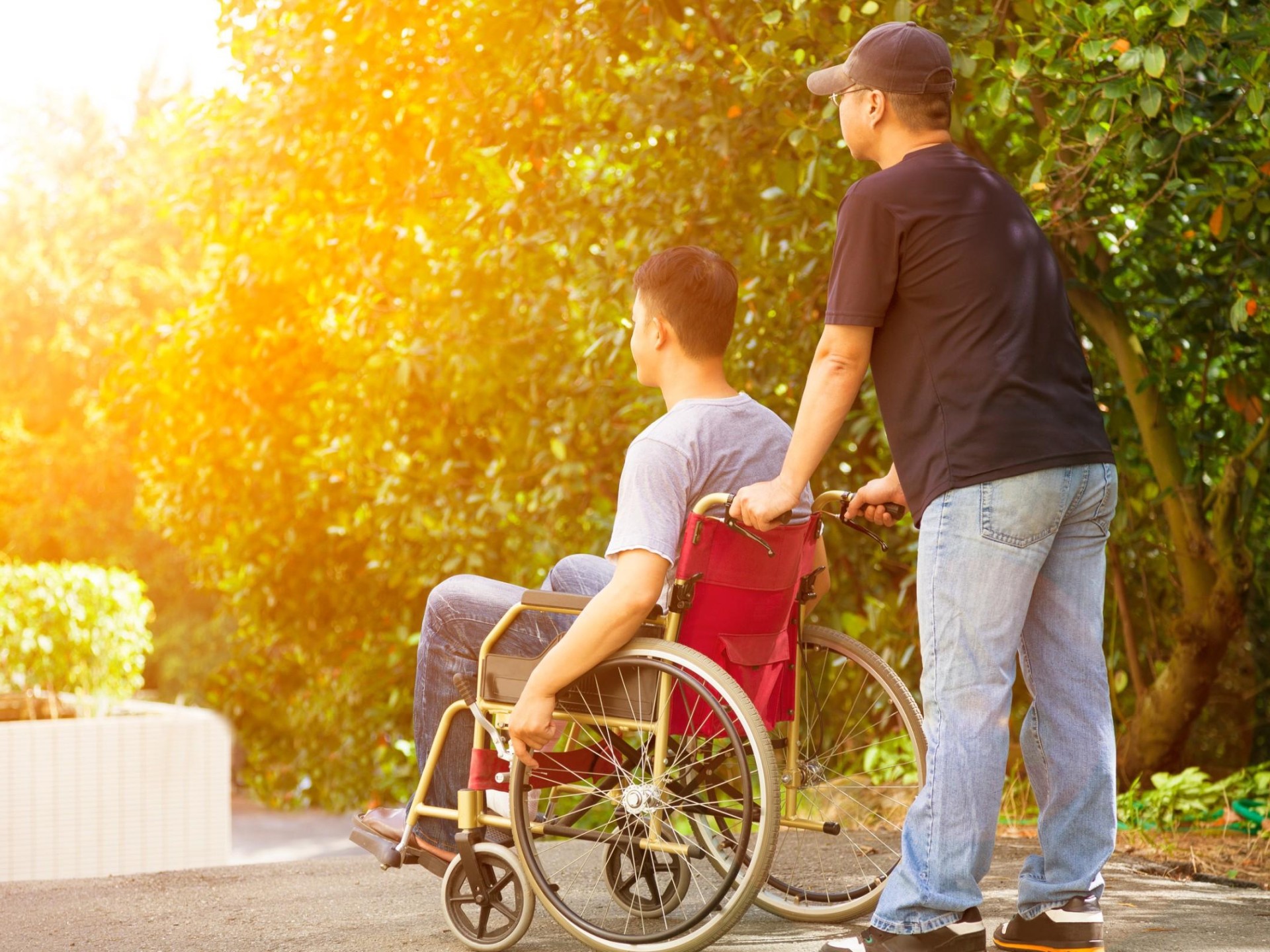 Ndis Registration 668276 1