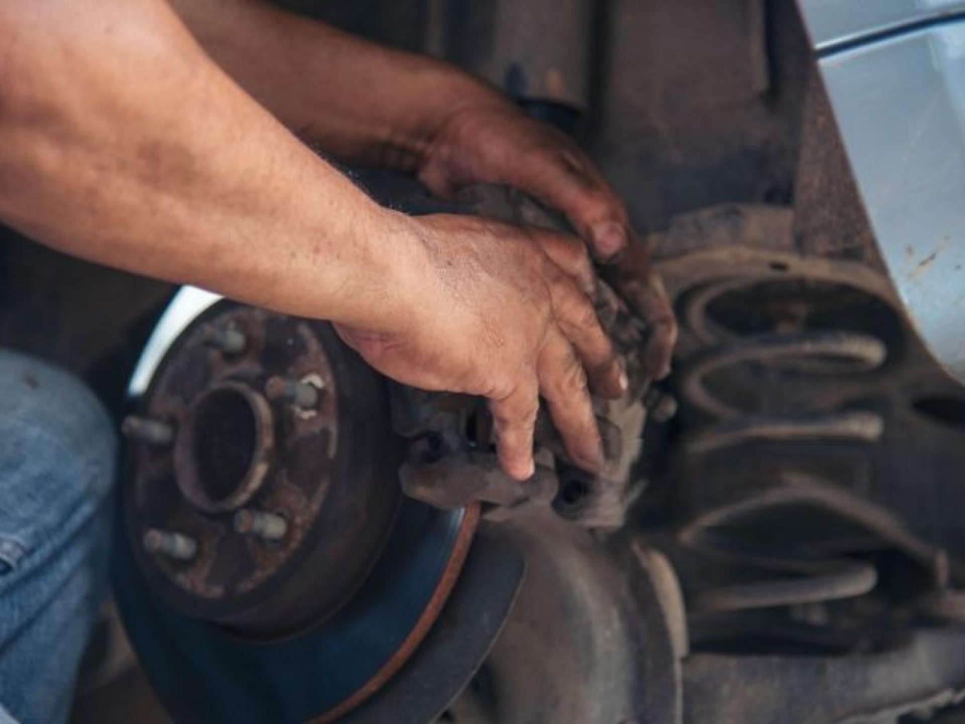 Aussie Ag Supplies 668306 3