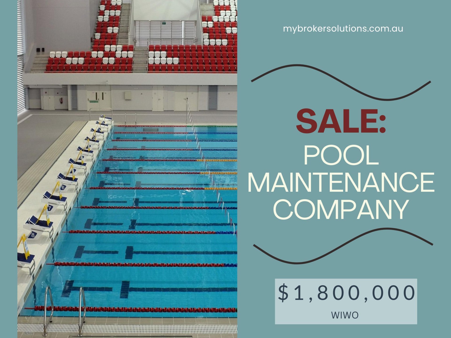 Swim In Success - 668348 1