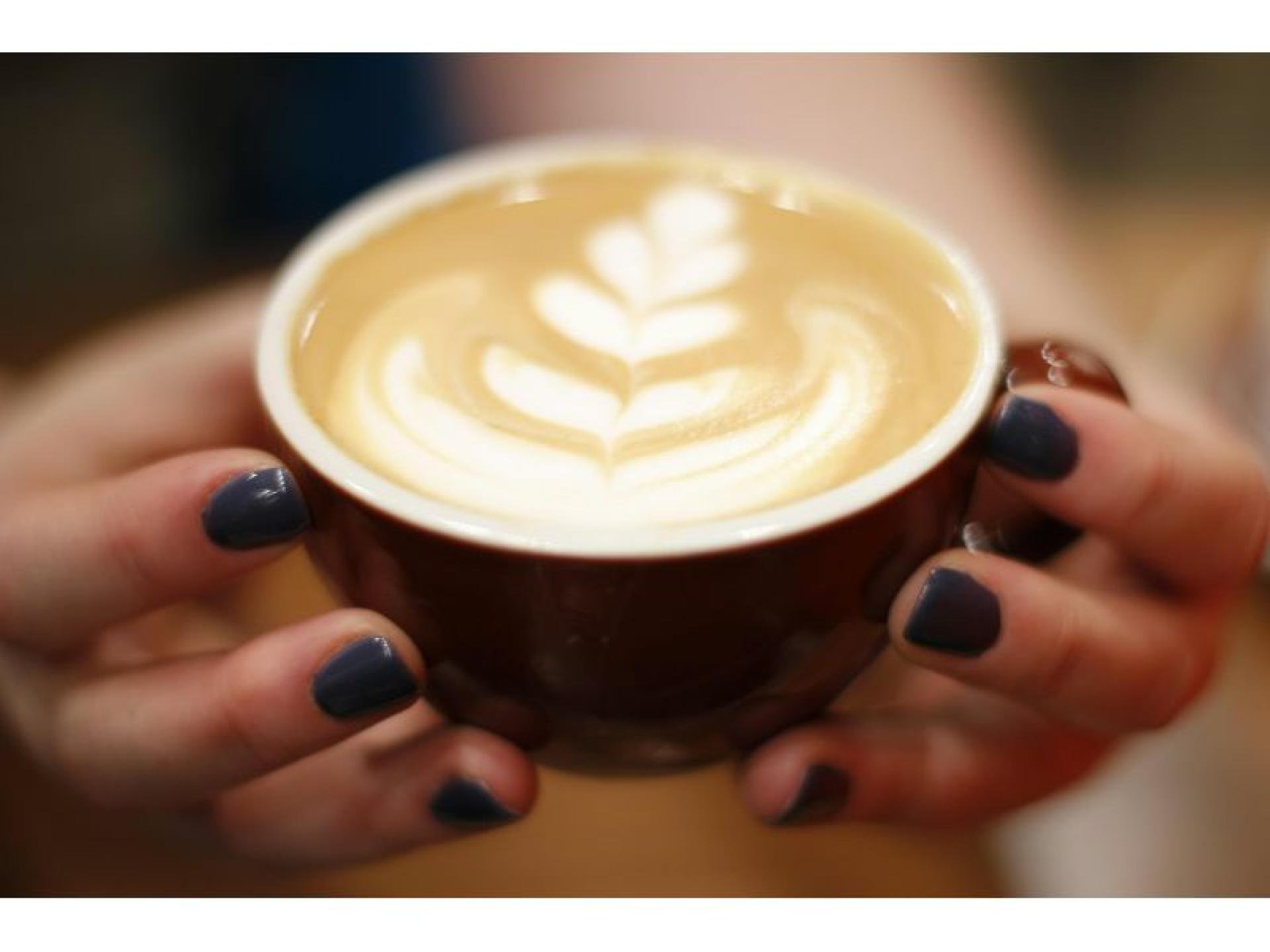 Premium Specialty Coffee Café 668515 1