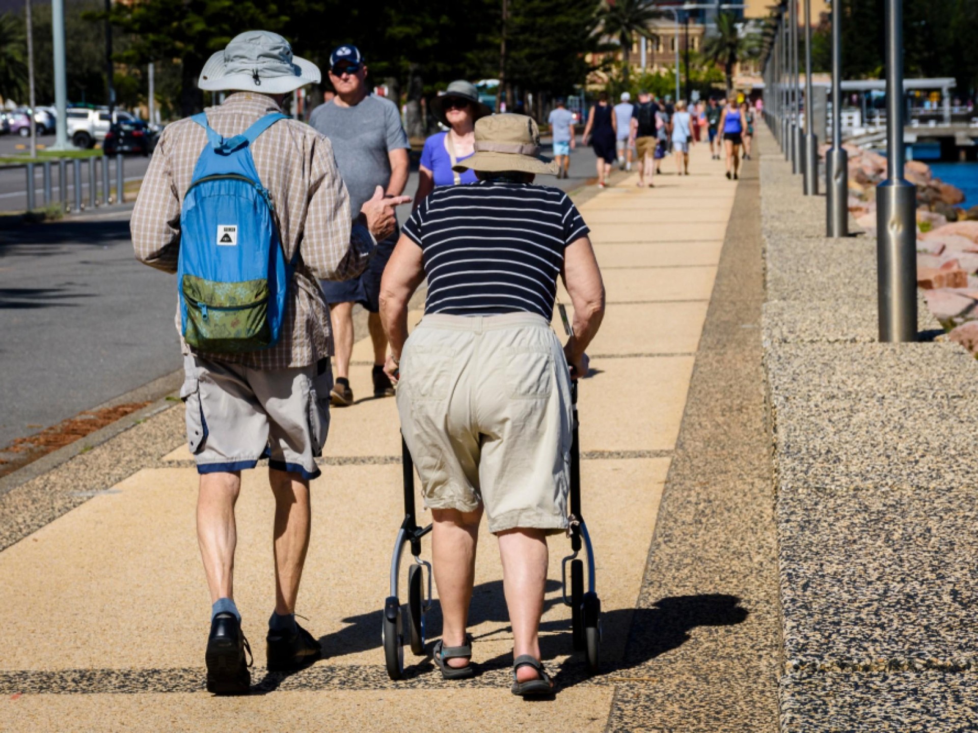 "dynamic Ndis Business For 668516 2