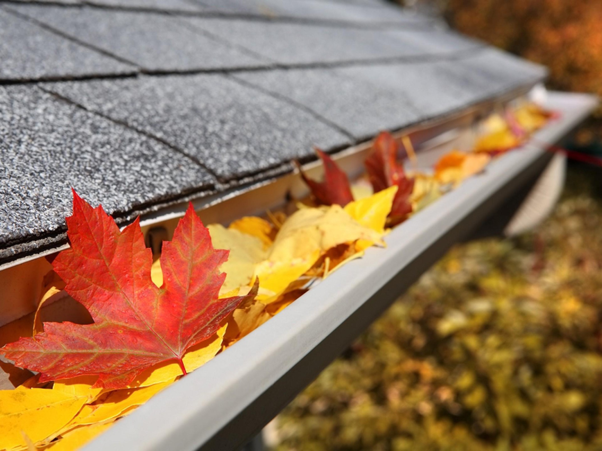Highly Profitable Gutter Cleaning 668528 1