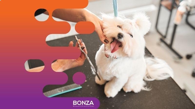 36113 Profitable Dog Daycare 668765 3