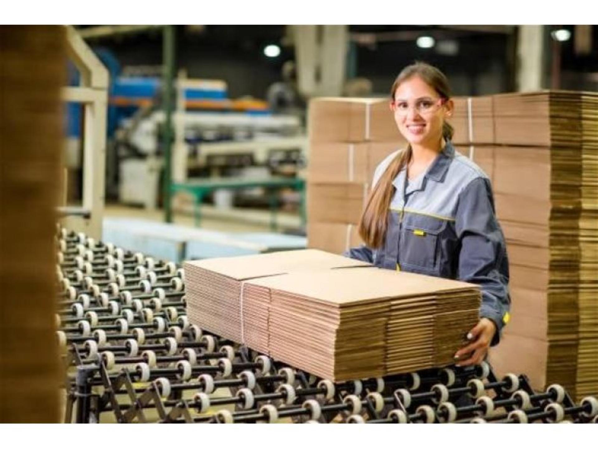 Carton Manufacturing Business (b2b) 669159 2