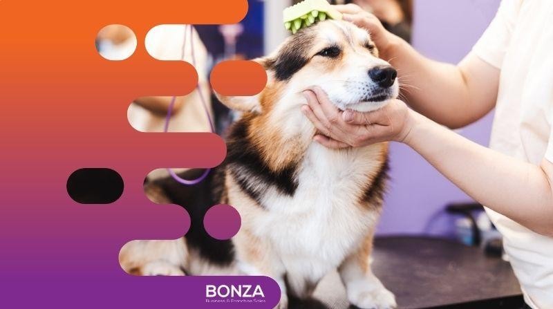 36130 Highly Reputable Pet 669181 2