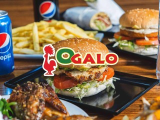 Iconic CBD Burger Franchise  Strong Profits Under Management | MAS231