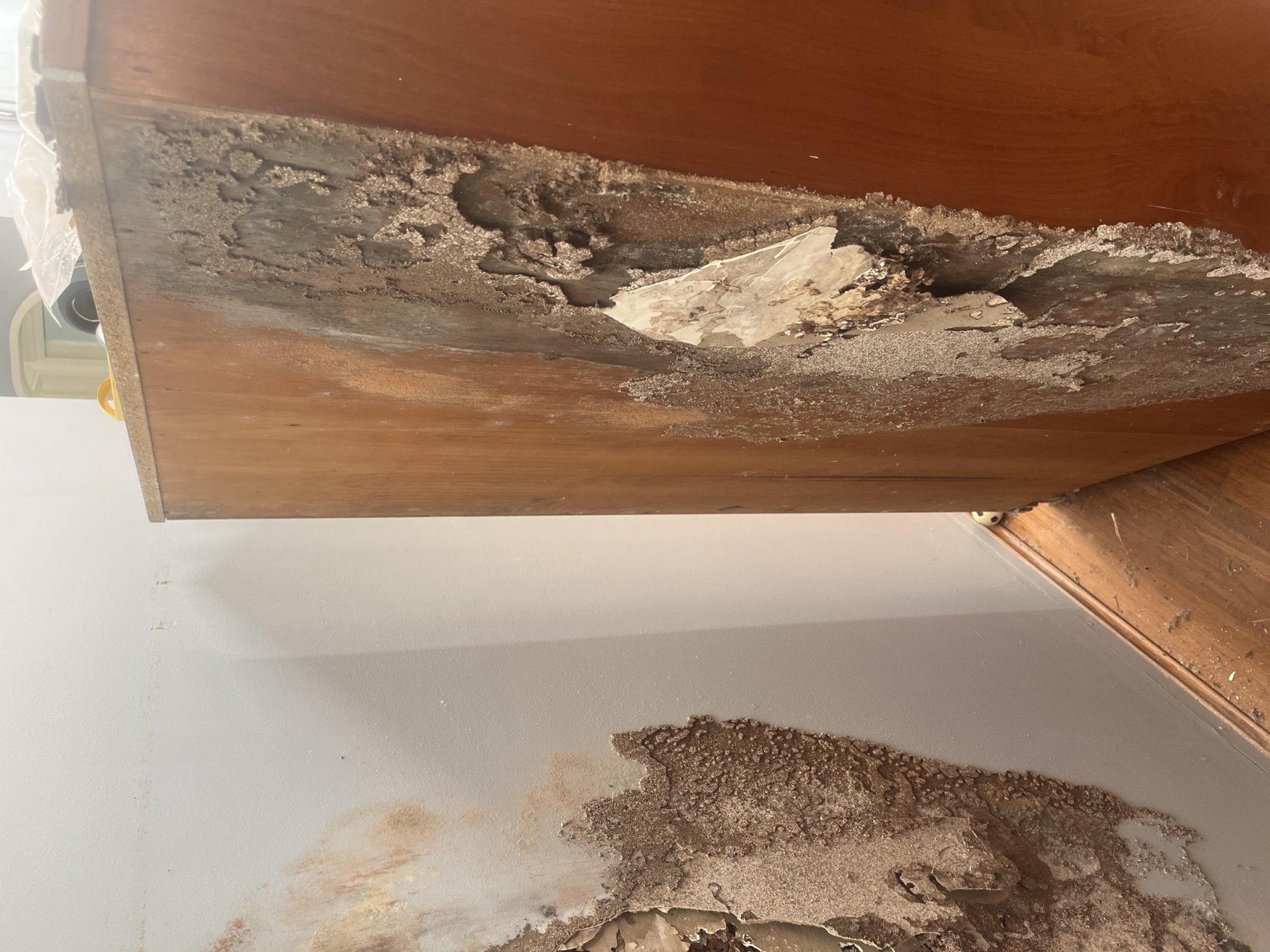 Franchise Opportunity – Pest 669519 1