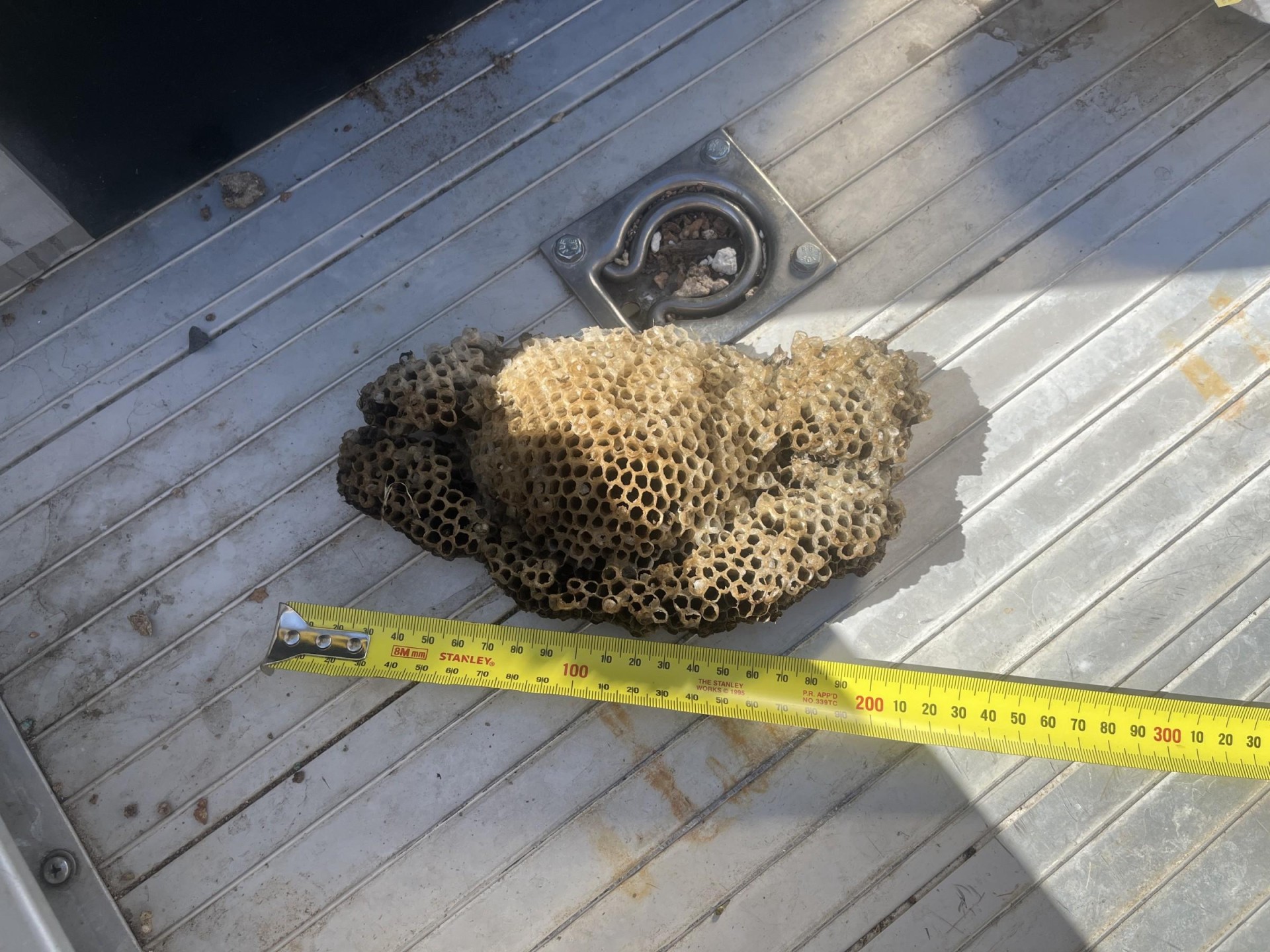 Franchise Opportunity – Pest 669519 2