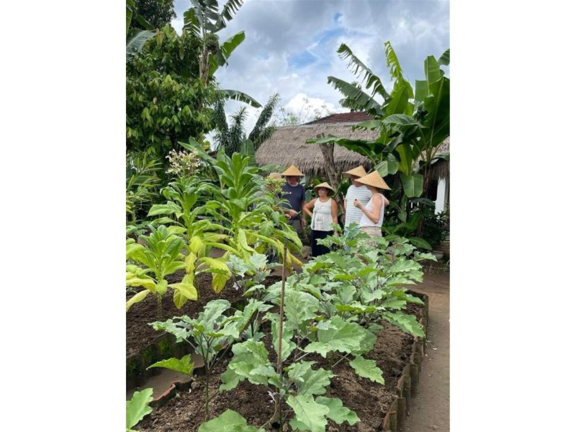 Indonesian Eco Friendly Resort 669834 3