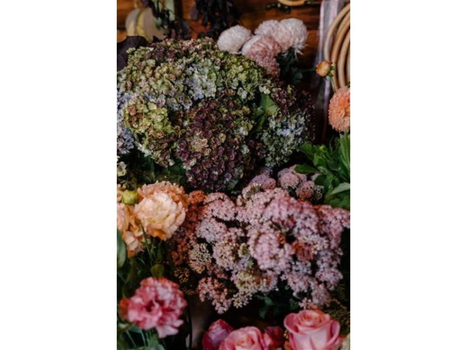 Newcastle Cbd Florist 670024 2