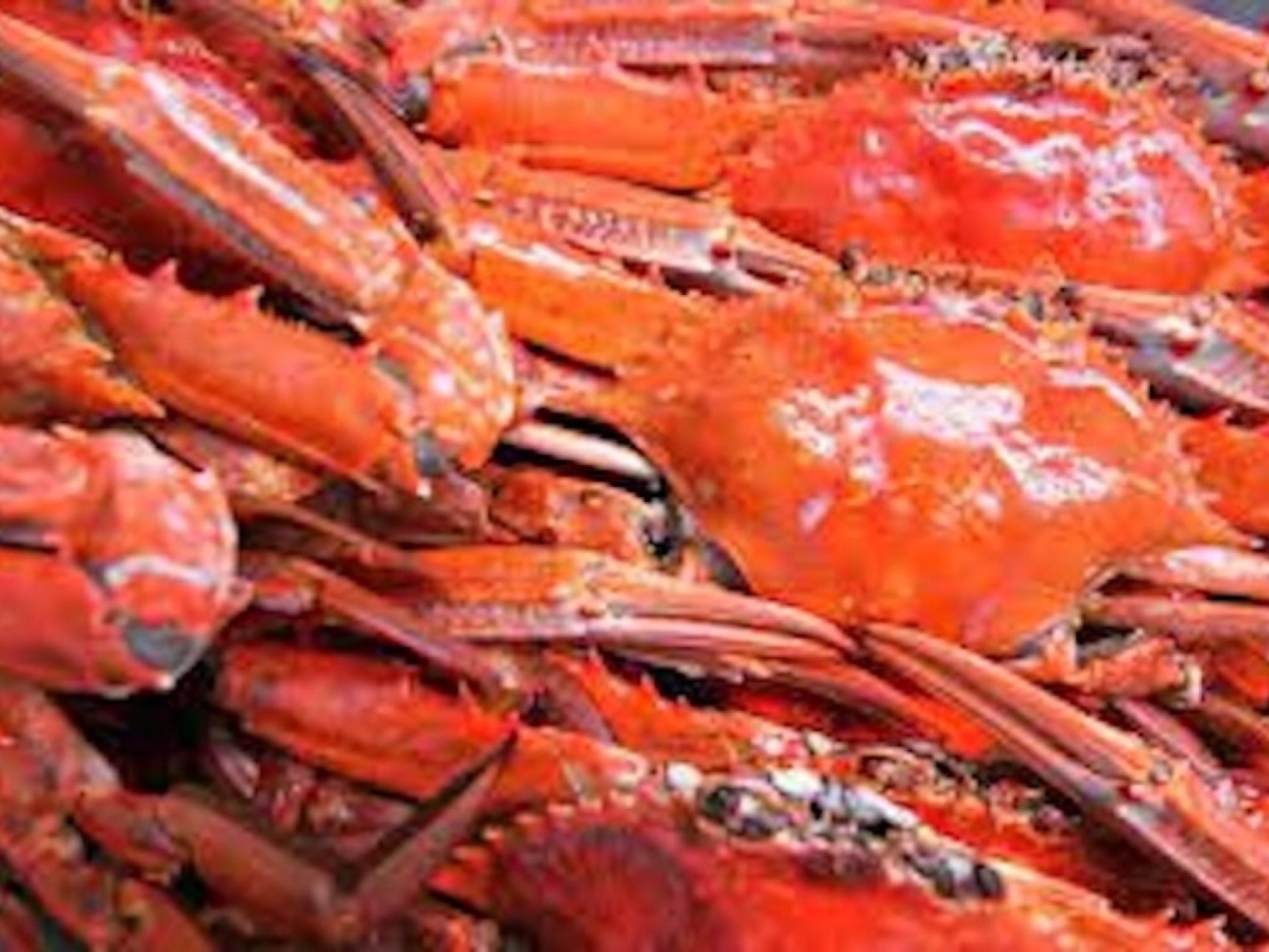 Seafood Distribution – 3 670138 3