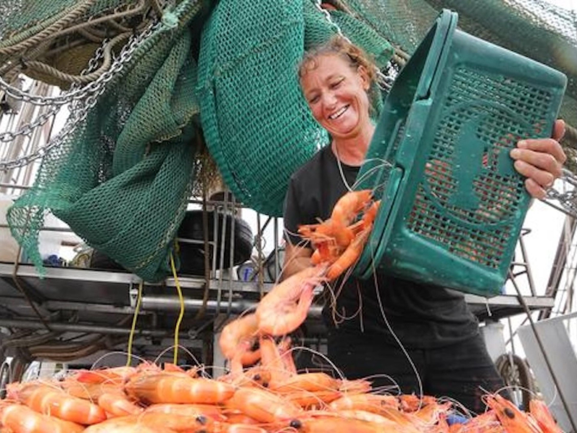 Seafood Distribution – 3 670138 2