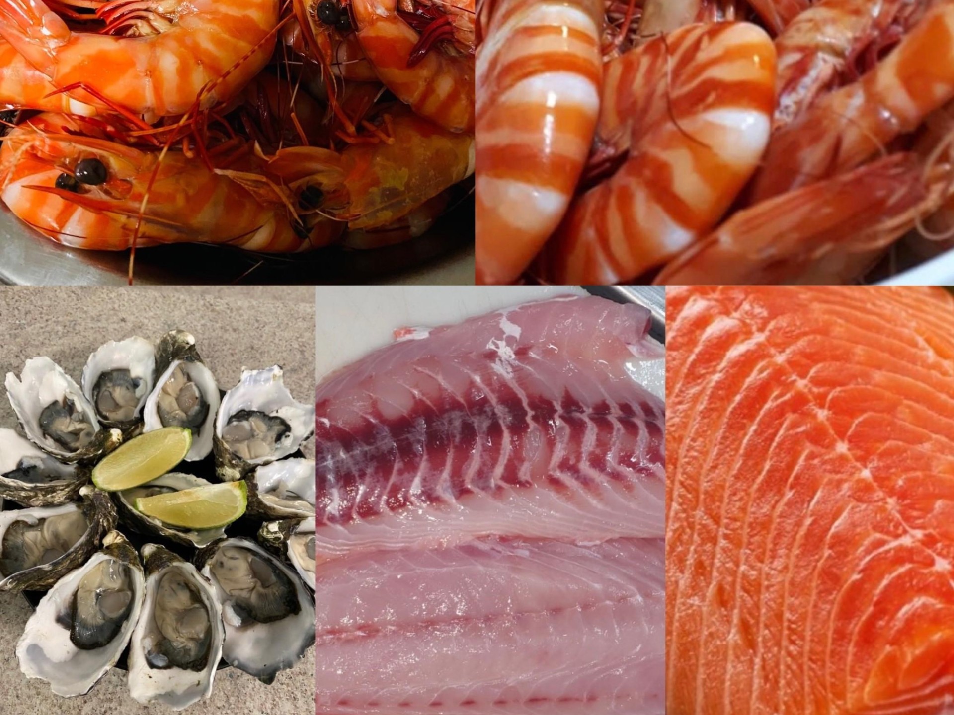 Seafood Distribution – 3 670138 1