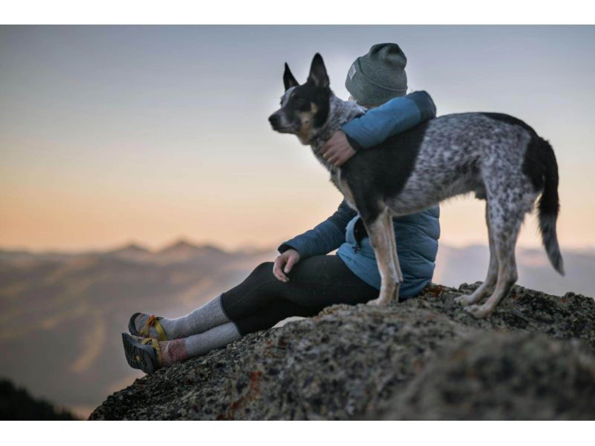 Thriving Veterinary Practice For 670243 1