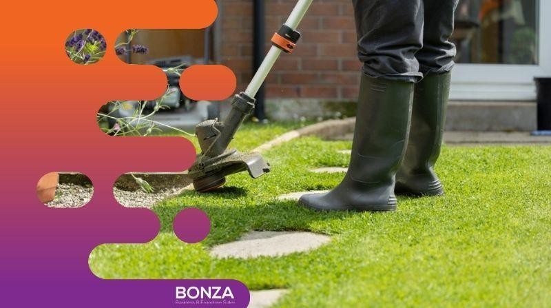 36196 Thriving Lawn & 670384 1