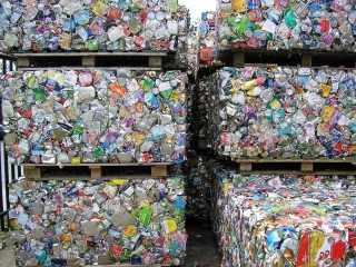 Waste Management business for sale