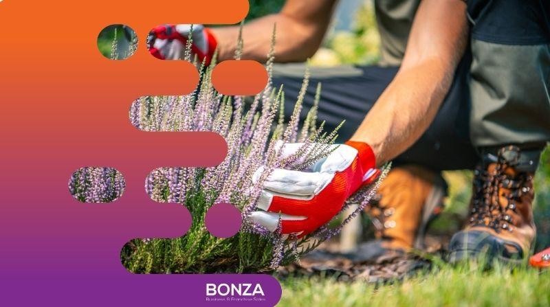 36202 Thriving Landscape Construction 670656 3