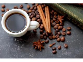 Boutique Style Cafe/Coffee Shop