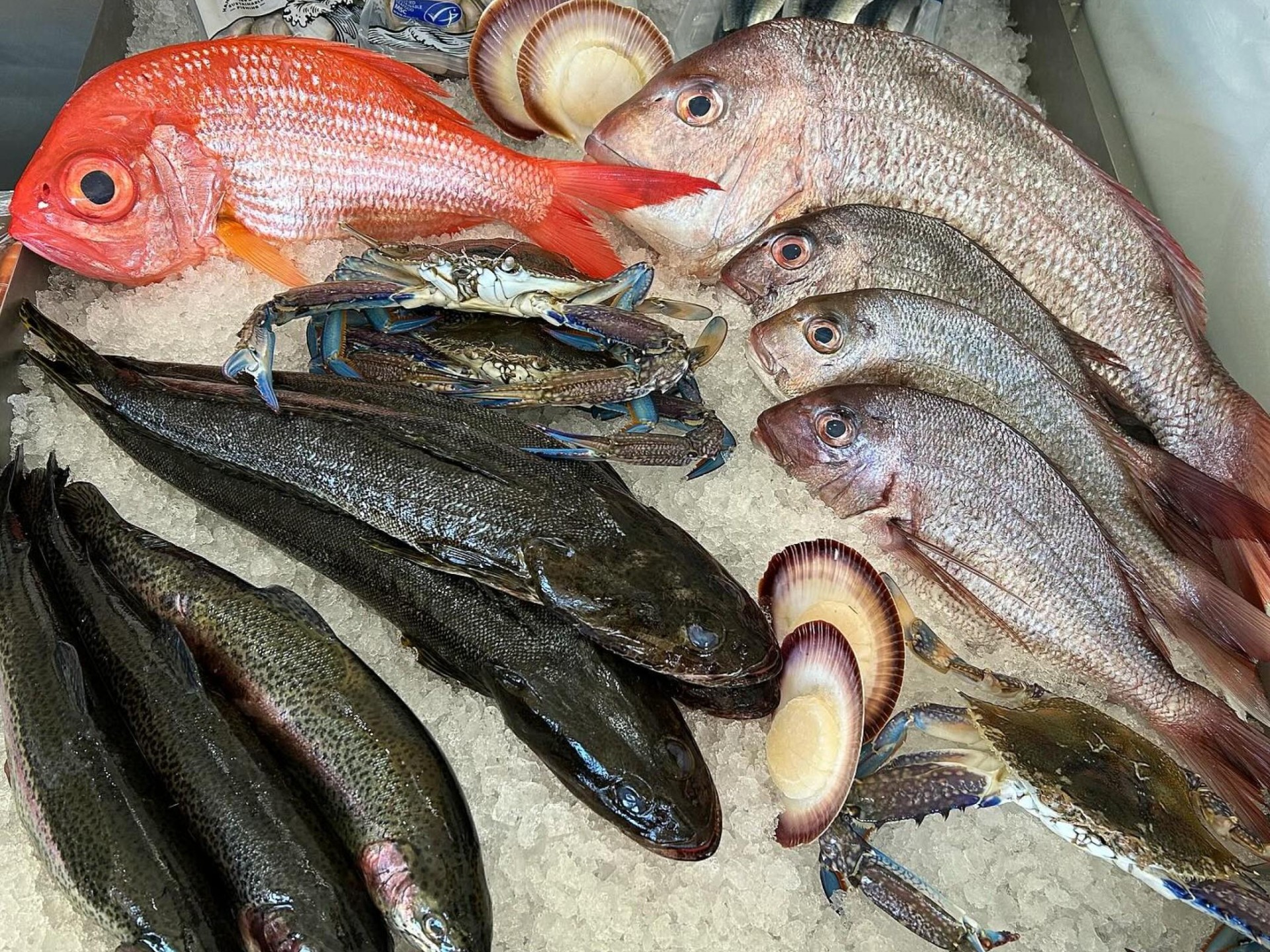 " Profitable Seafood Business 670982 1