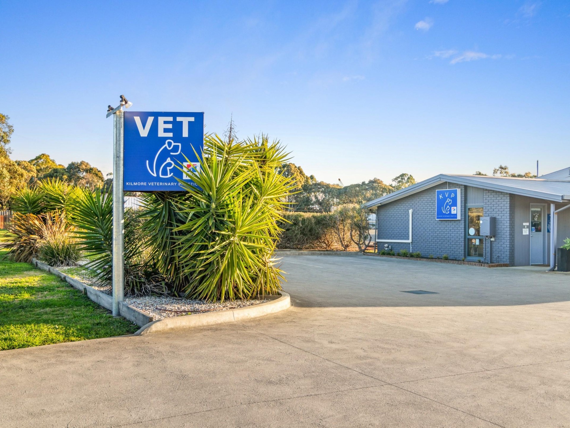 Longstanding Small Animal Veterinary 671407 2