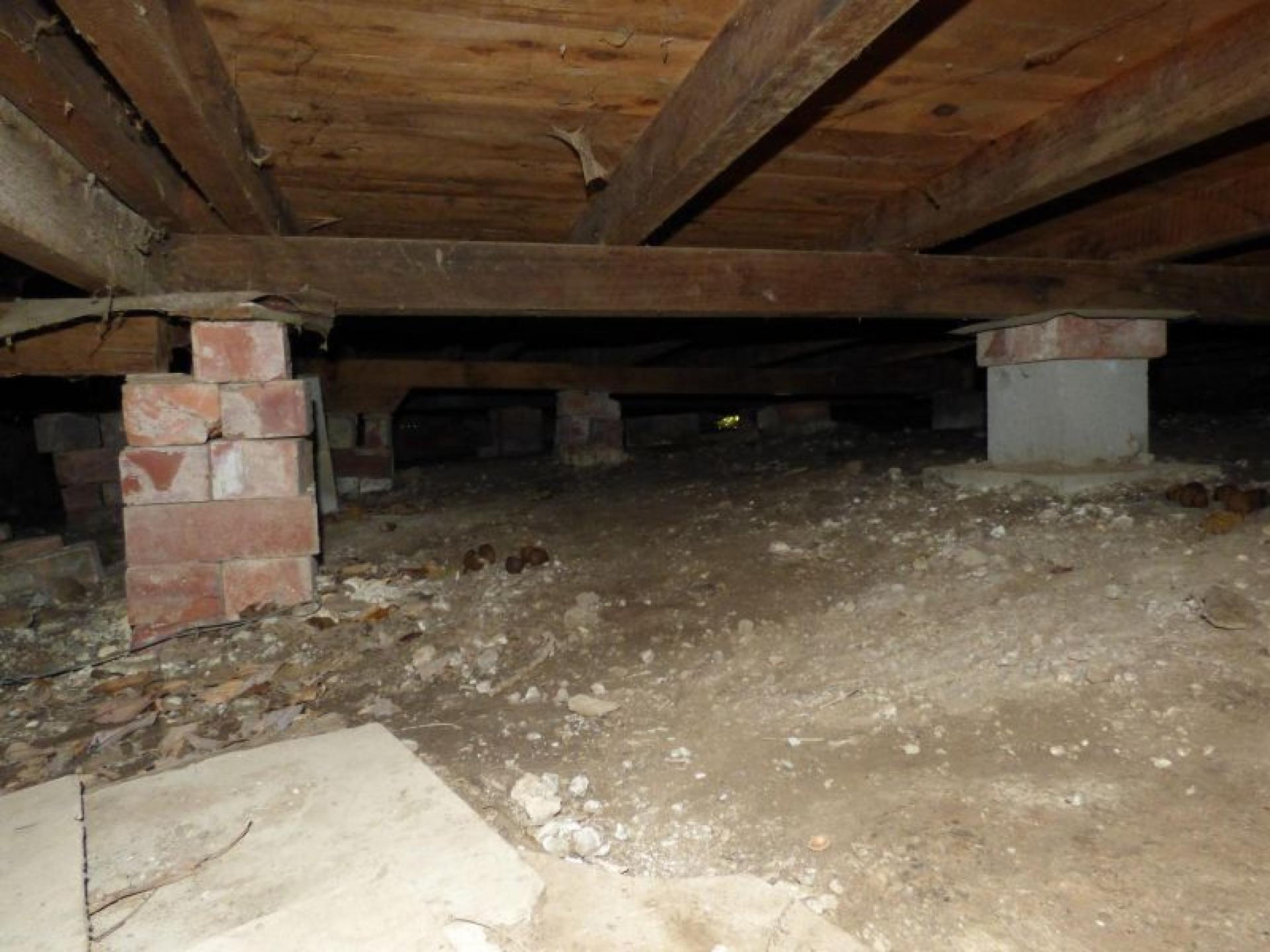 Building Inspection And Lead 671496 3