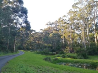 40 ACRE RESORT FROM HEAVEN – LEASEHOLD OPPORTUNITY