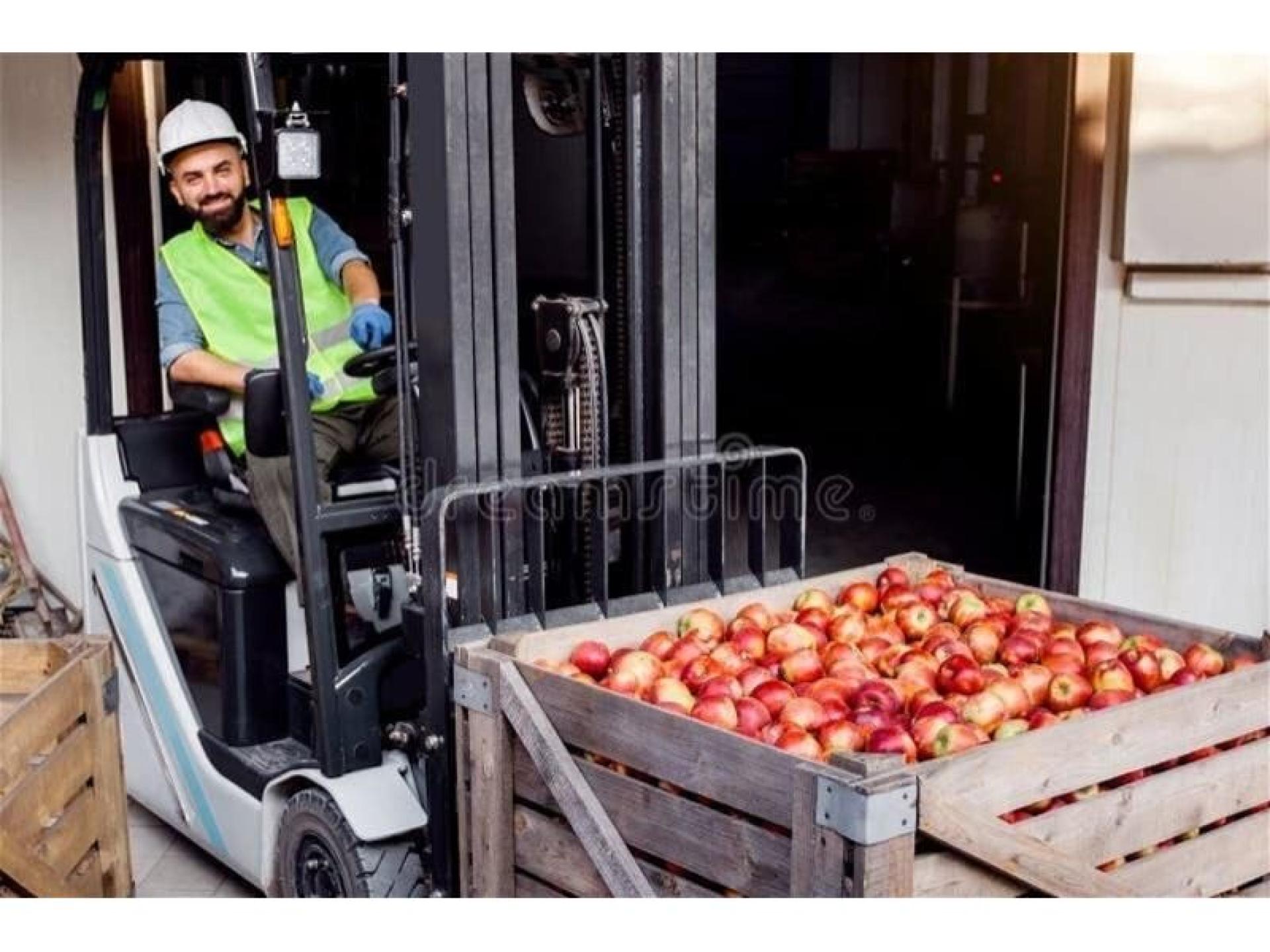 Profitable Fresh Produce Wholesale 672373 1