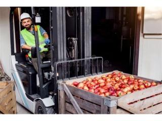 Profitable Fresh Produce Wholesale Business - 5869