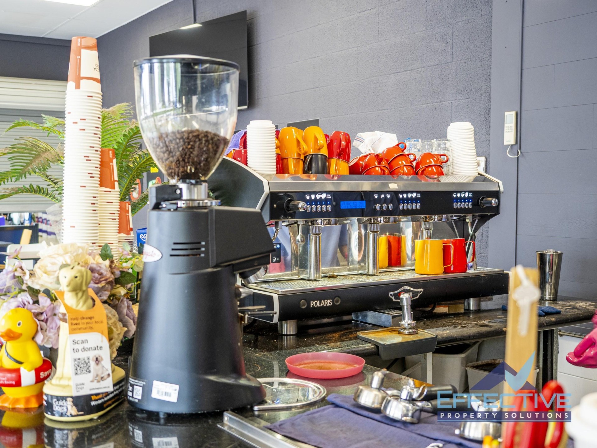 Cafe / Restaurant In 672455 2