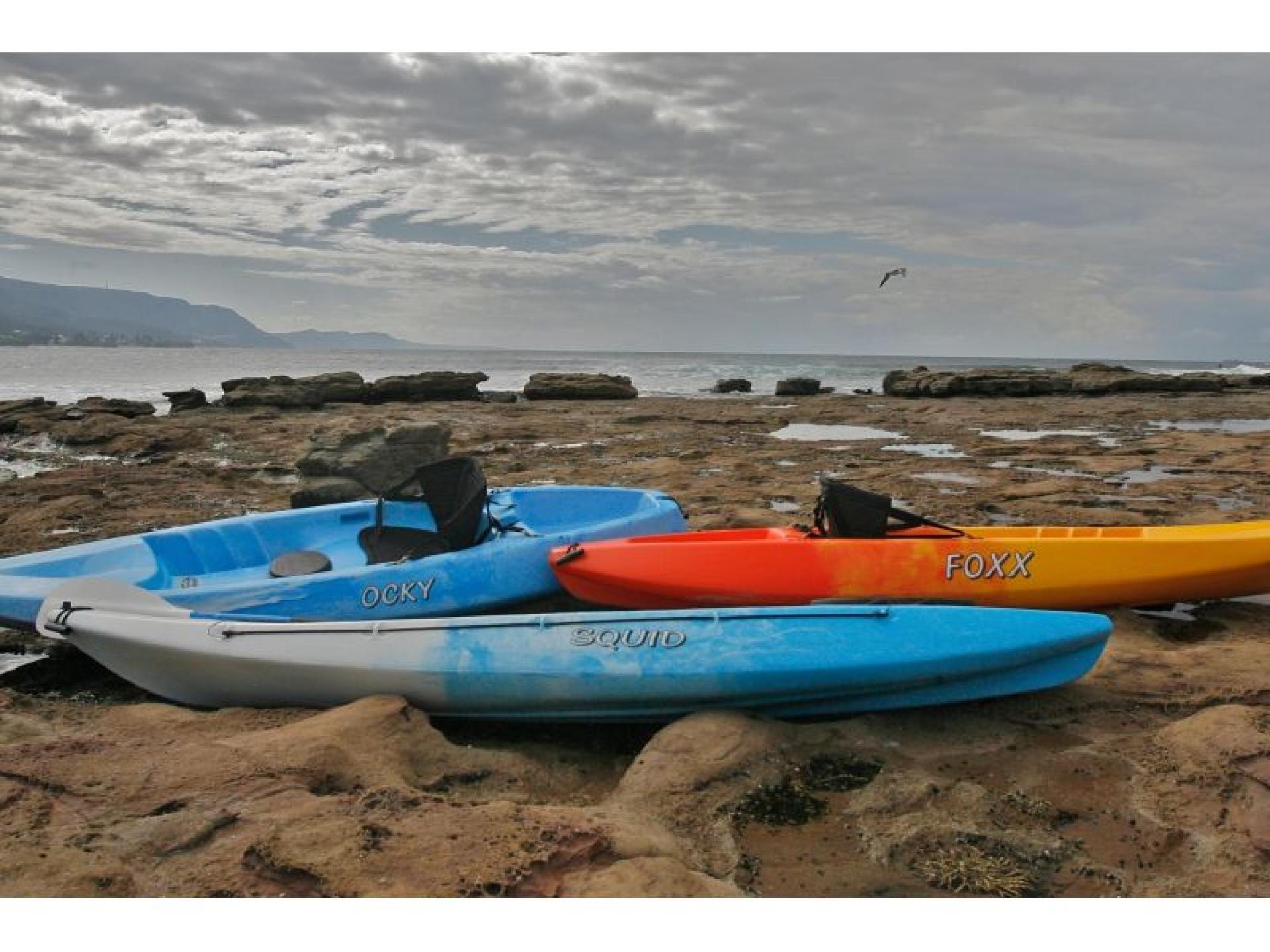 Australis Canoes - An 672529 2