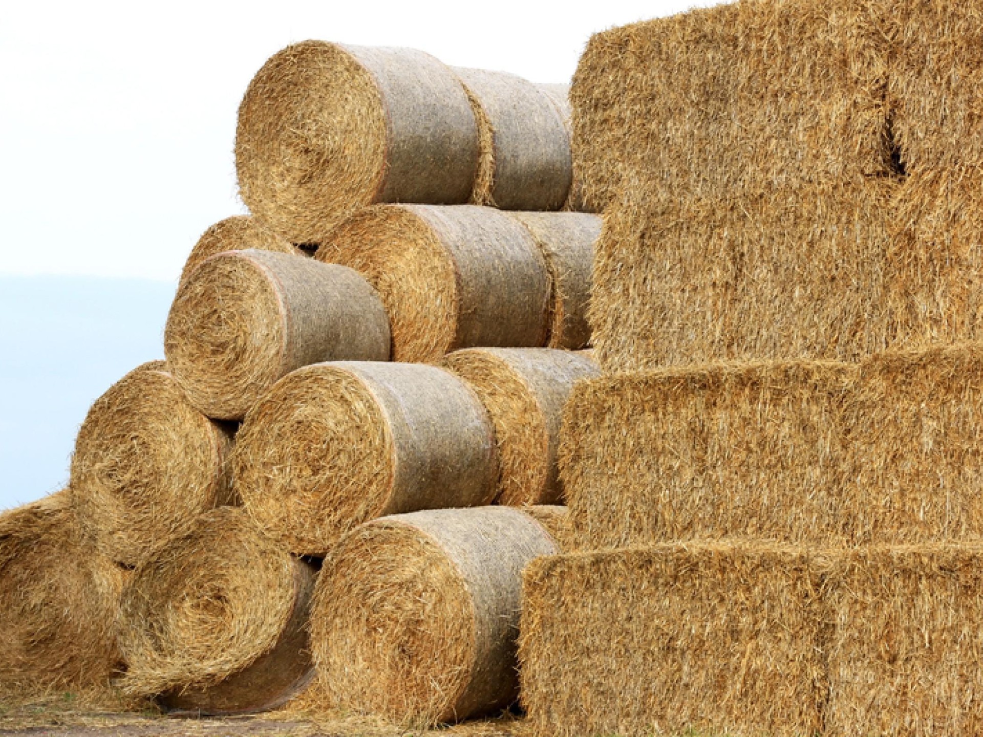 Profitable Agri-supply Business – 672552 1