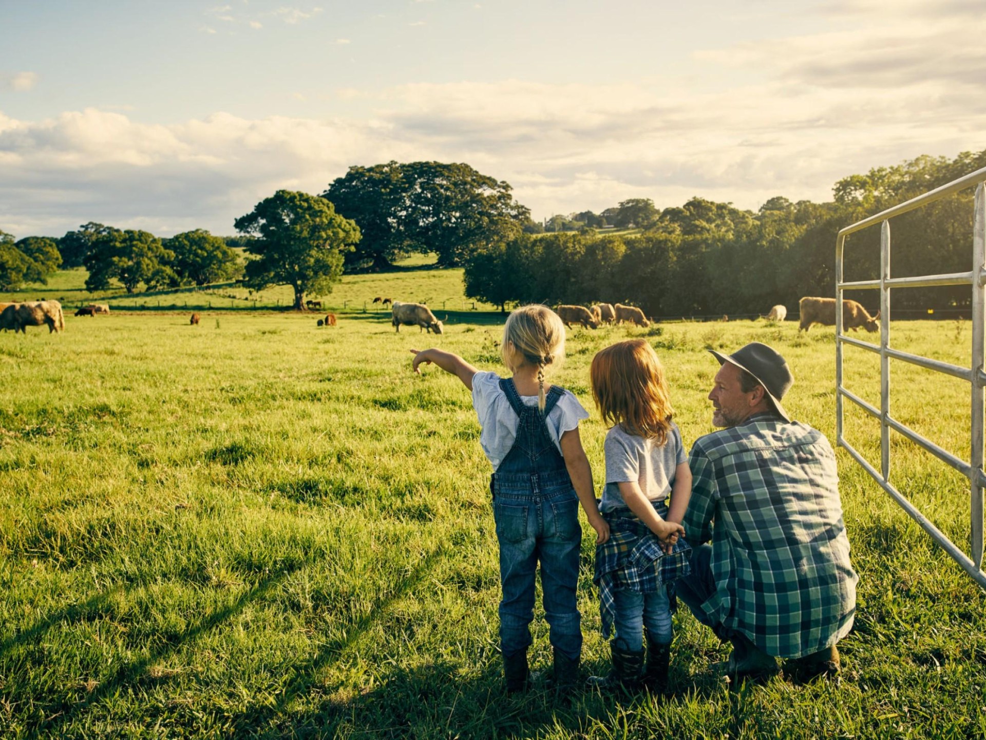 Profitable Agri-supply Business – 672552 2