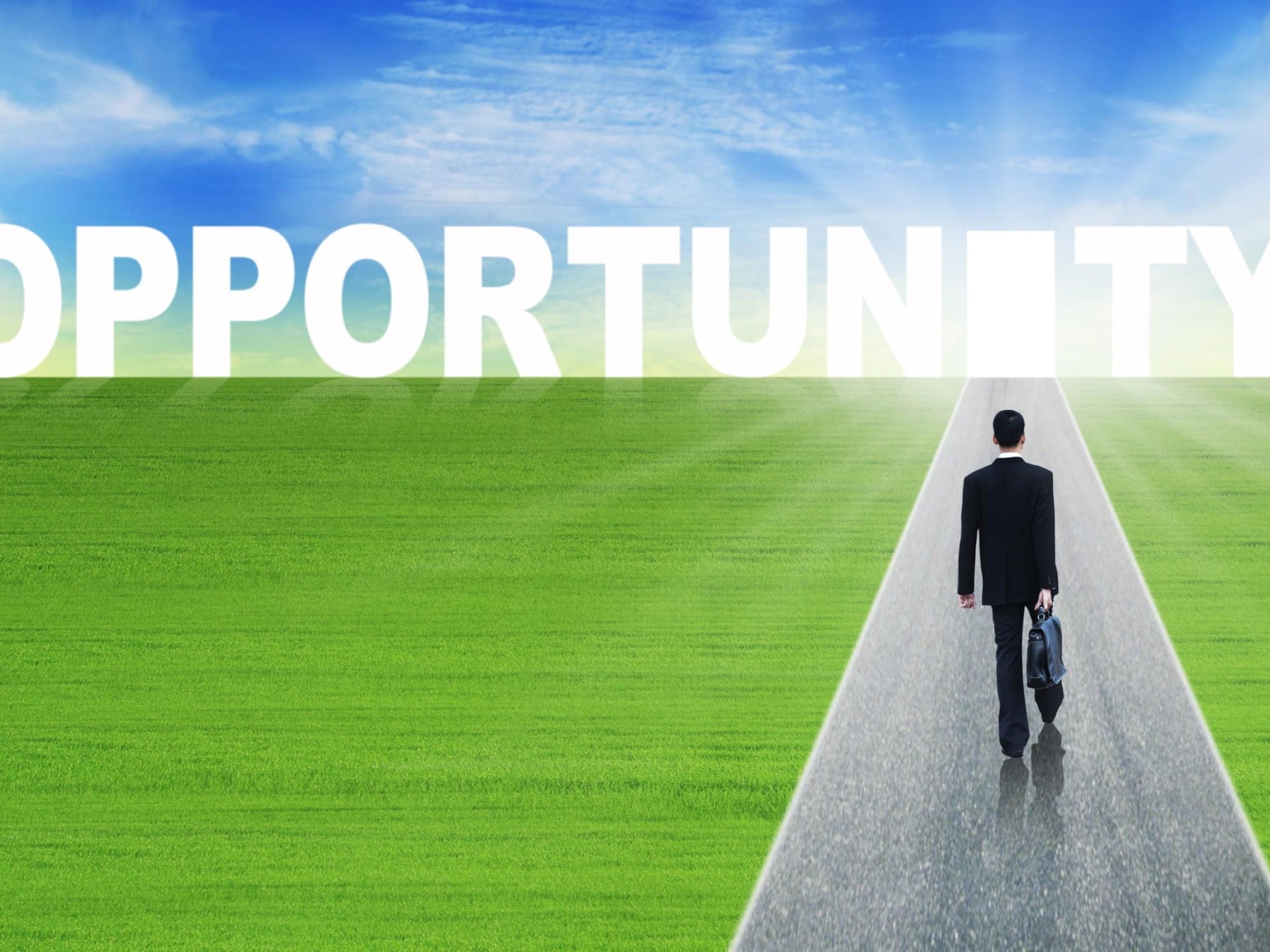 Profitable Agri-supply Business – 672552 3