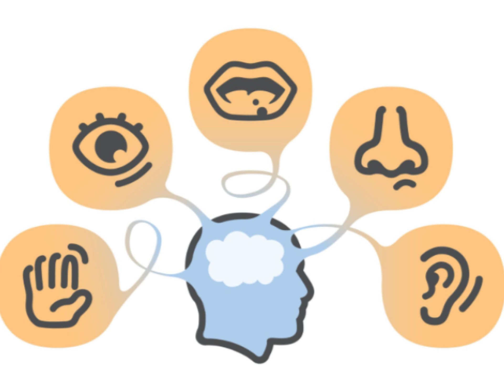 Thriving Sensory & Educational 673039 2