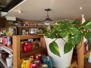 FOR SALE: ACCLAIMED JAPANESE CAFE/ RESTAURANT IN THE HEART OF COLLINGWOOD