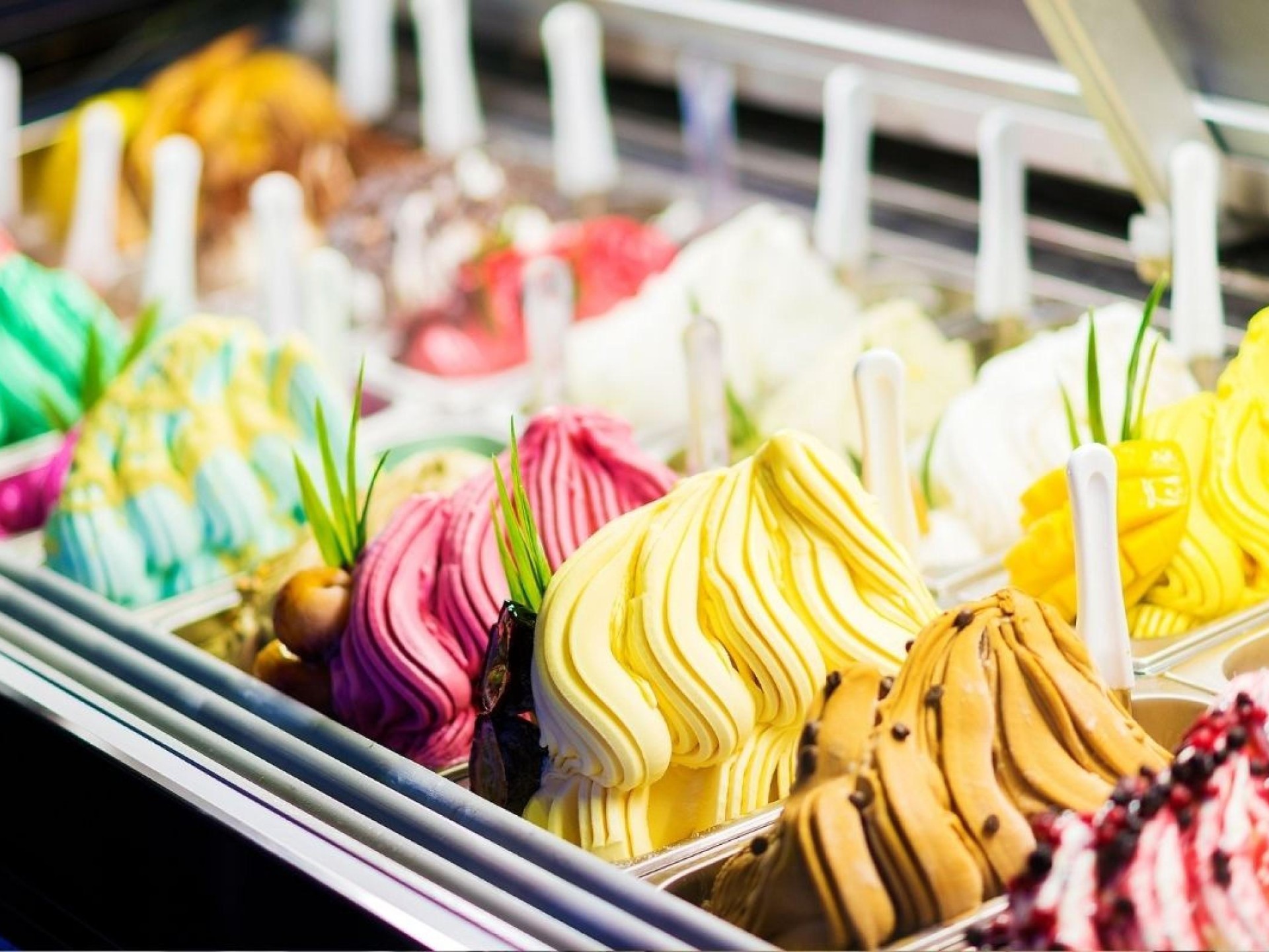 Gelato Shop Coastal Goldmine 673295 3