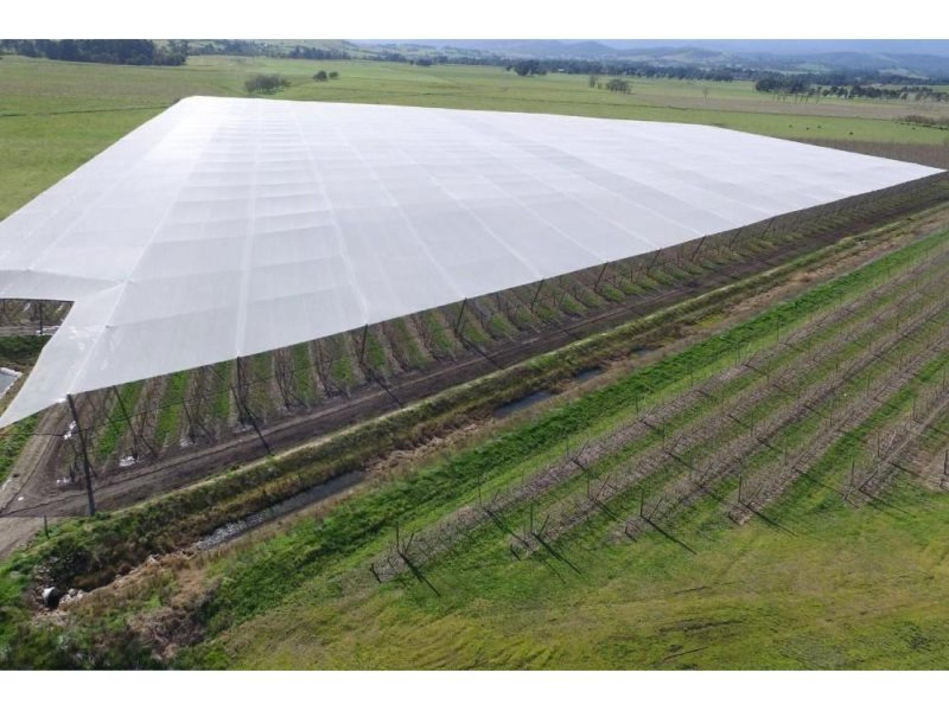 Under Contract - Crop 673377 2