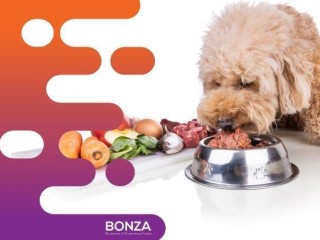 36340 Profitable Raw Pet Food Business - High Demand 