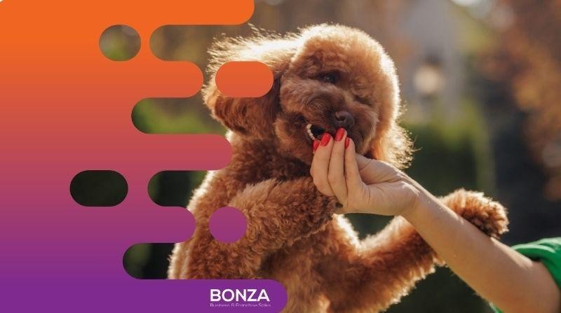 36341 Multi-award-winning Subscription Pet 673464 2